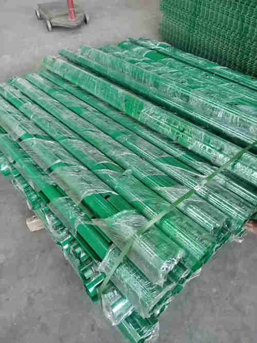 �������o�ھW����