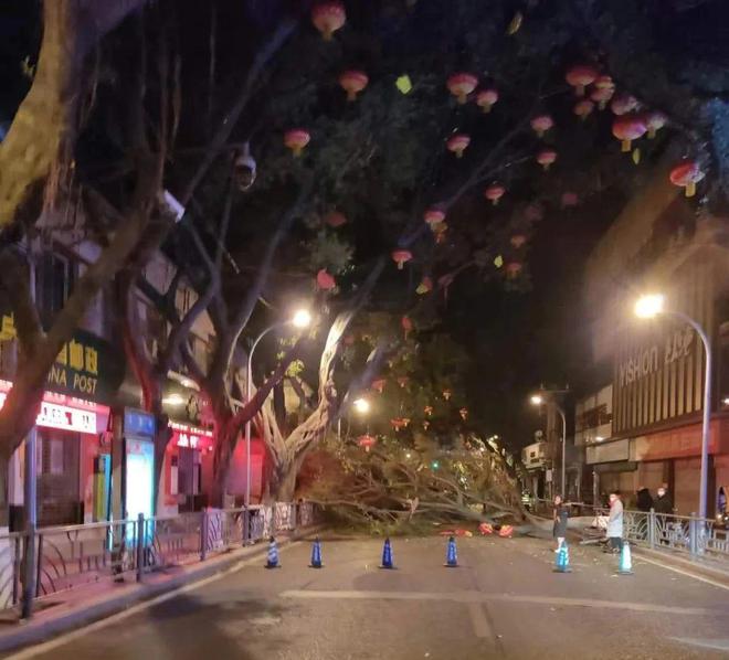 道路護欄網價格 道路護欄網價格