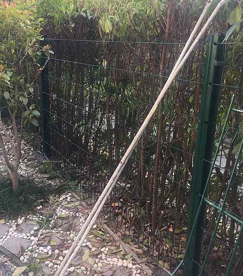 �������o�ھW�r��